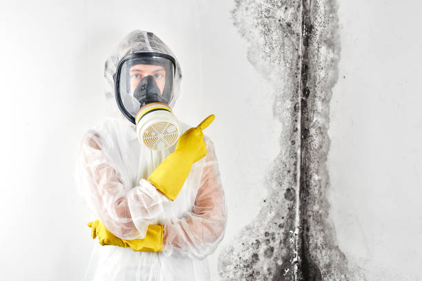 Best Residential Mold Inspection & Testing  in Warrensville Heights, OH