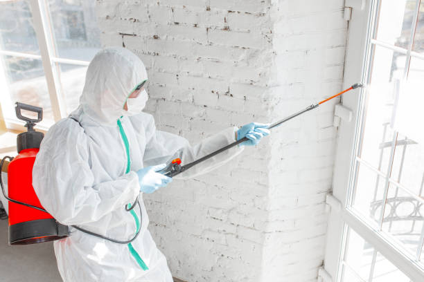 Best Forensic Mold Investigation  in Warrensville Heights, OH