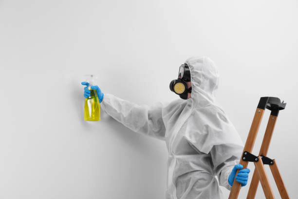 Warrensville Heights, OH Mold Removal Services Company